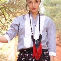 Chemise � plastron Martin